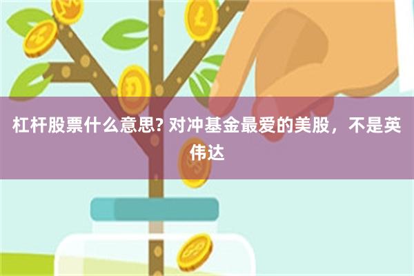 杠杆股票什么意思? 对冲基金最爱的美股，不是英伟达