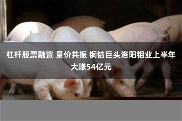 杠杆股票融资 量价共振 铜钴巨头洛阳钼业上半年大赚54亿元