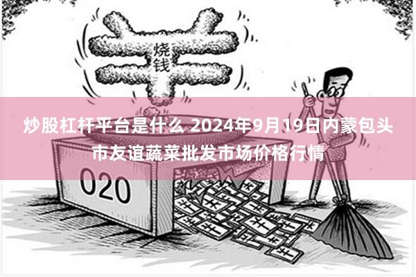 炒股杠杆平台是什么 2024年9月19日内蒙包头市友谊蔬菜批发市场价格行情