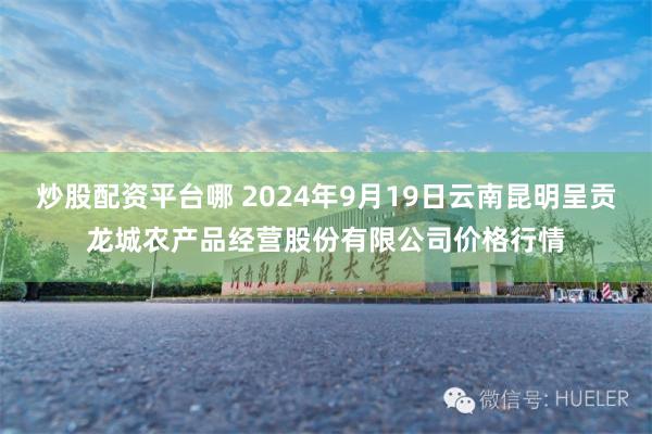 炒股配资平台哪 2024年9月19日云南昆明呈贡龙城农产品经营股份有限公司价格行情