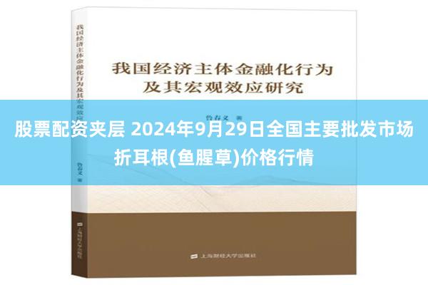 股票配资夹层 2024年9月29日全国主要批发市场折耳根(鱼腥草)价格行情