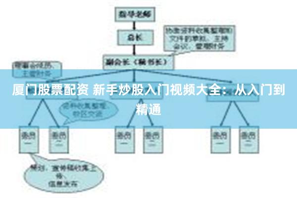 厦门股票配资 新手炒股入门视频大全：从入门到精通