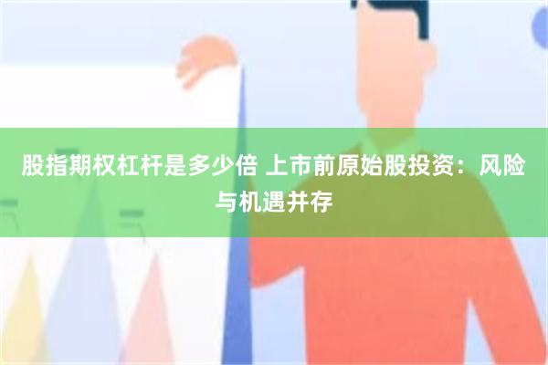 股指期权杠杆是多少倍 上市前原始股投资：风险与机遇并存