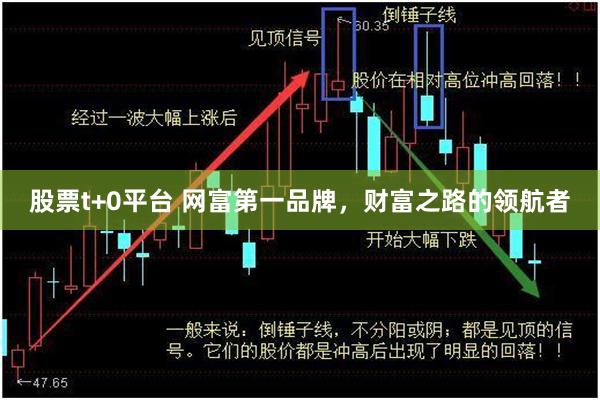 股票t+0平台 网富第一品牌，财富之路的领航者