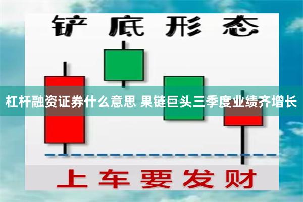 杠杆融资证券什么意思 果链巨头三季度业绩齐增长