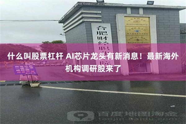 什么叫股票杠杆 AI芯片龙头有新消息！最新海外机构调研股来了