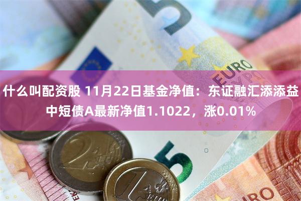 什么叫配资股 11月22日基金净值：东证融汇添添益中短债A最新净值1.1022，涨0.01%