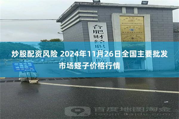 炒股配资风险 2024年11月26日全国主要批发市场蛏子价格行情