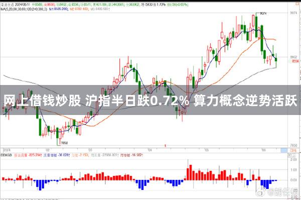 网上借钱炒股 沪指半日跌0.72% 算力概念逆势活跃