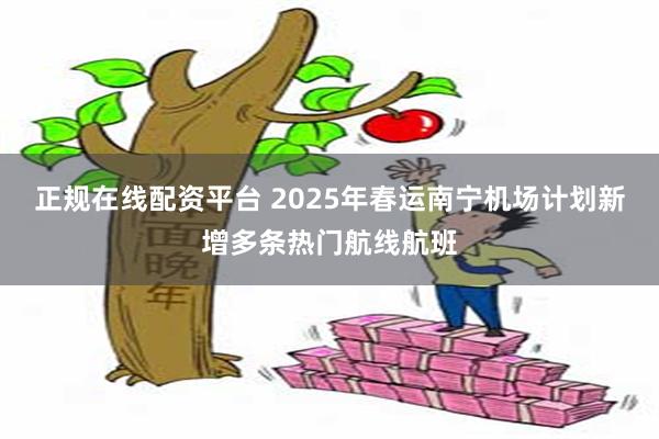 正规在线配资平台 2025年春运南宁机场计划新增多条热门航线航班