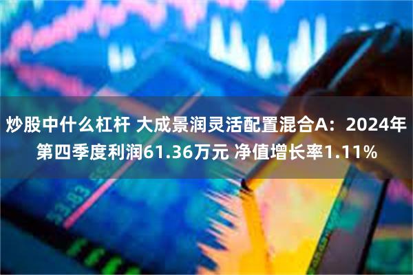 炒股中什么杠杆 大成景润灵活配置混合A：2024年第四季度利润61.36万元 净值增长率1.11%