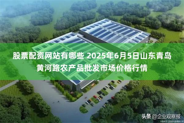 股票配资网站有哪些 2025年6月5日山东青岛黄河路农产品批发市场价格行情