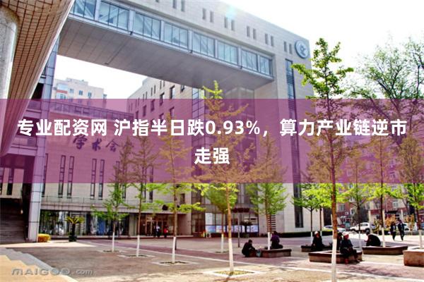 专业配资网 沪指半日跌0.93%，算力产业链逆市走强