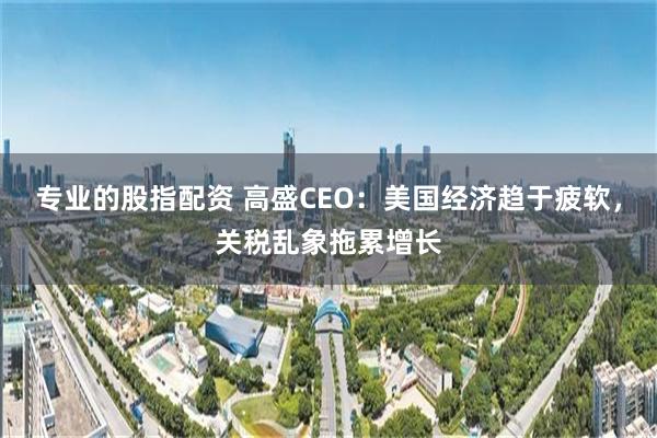 专业的股指配资 高盛CEO：美国经济趋于疲软，关税乱象拖累增长